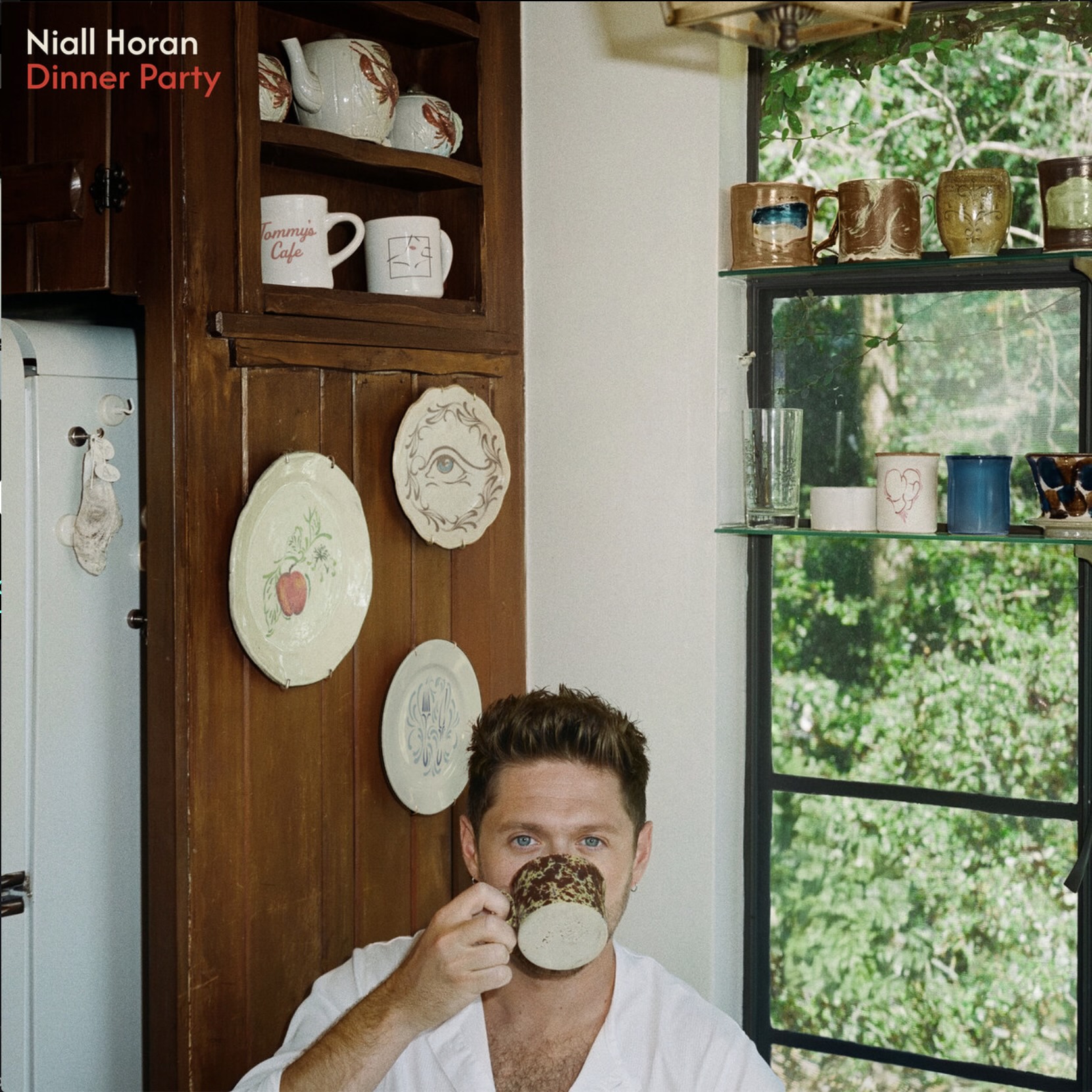 Niall Horan - Dinner Party (Album)